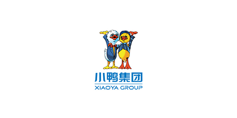 Taizhou Dongsheng New Energy Technology Co., Ltd.