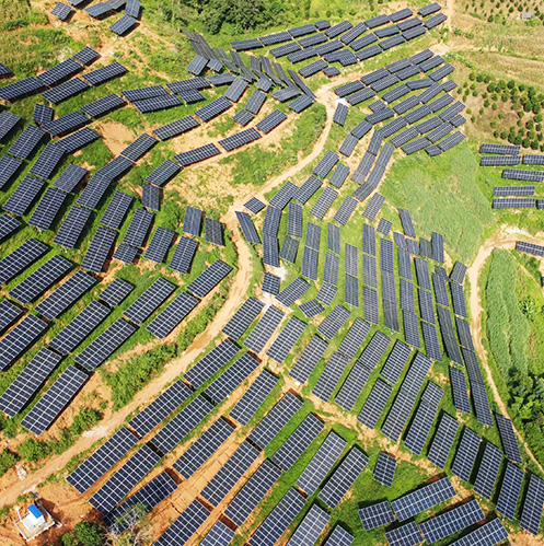 অ্যাপ্লিকেশন