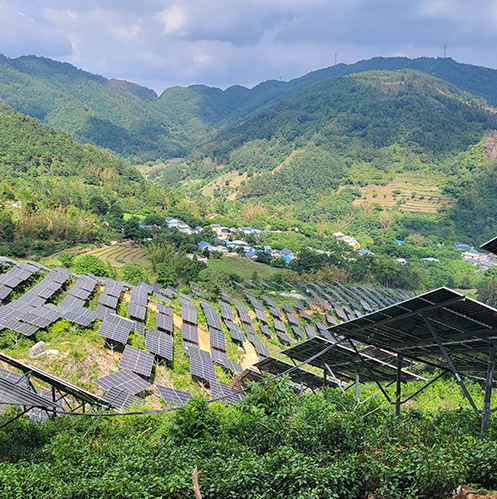 অ্যাপ্লিকেশন
