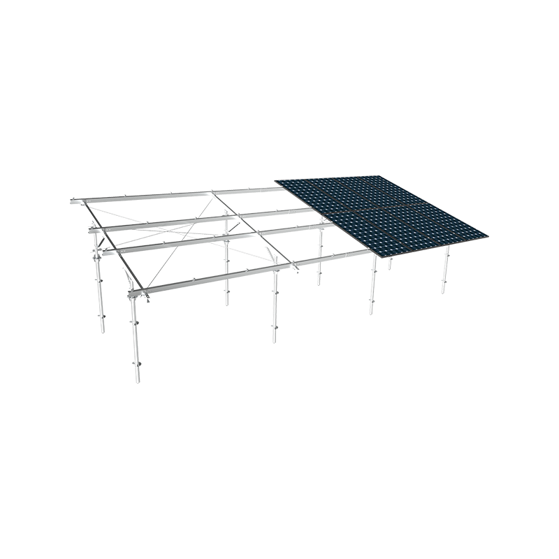 কৃষি-সোলার হাইব্রিড পিভি মাউন্টিং